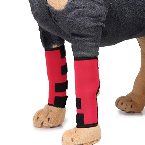 ZUNEA Protector de Pierna Trasera para Perro Canino Paquete de 2 Protectores de Envoltura de Pierna Trasera Apoyo Adicional Manga de Compresión para Lesiones de Heridas y Esguinces de Artritis Rojo M