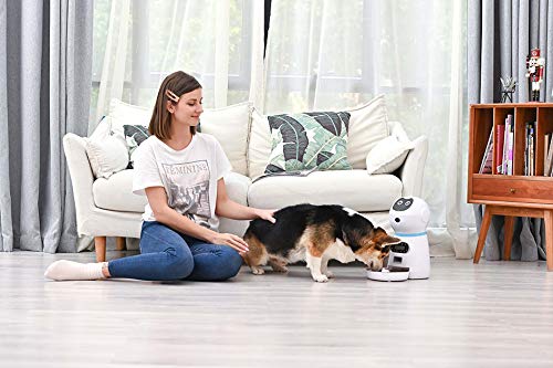 ZYEZI Alimentador automático para mascotas, diseño de robot, placa de comida de acero inoxidable con pantalla LCD, cuantificación programada alimentador inteligente para gatos y perros