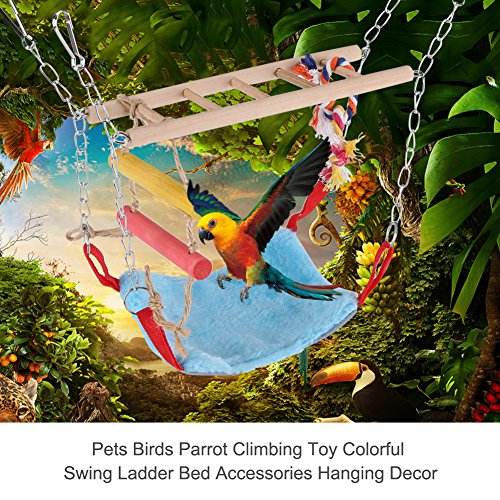 Zyyini Pájaro Swing Toy, 3 Colores multifuncionales Mascotas Escalera oscilante Accesorios de Cama Decoración Colgante para Mascotas pequeñas Aves(Azul)