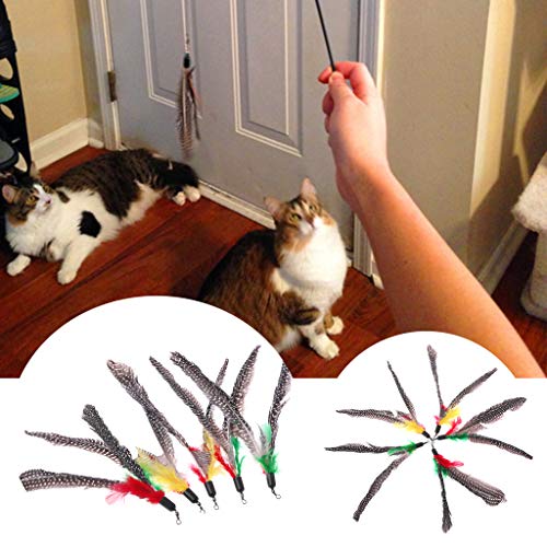 ZZALLL 5PCS Juguete de Gato de Plumas Naturales Hecho a Mano Da Bird Recargas Palos de Teaser interactivos