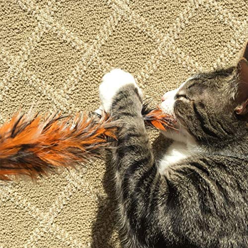 15 piezas Juguete Pluma de Gato Interactivo, 2 piezas Varita Retráctil y 13 piezas Plumas de Recambio con Campana, Juguete de Cazador de Gatos Interactivo Varita para Ejercitar Gatos y Gatitos (12pcs)