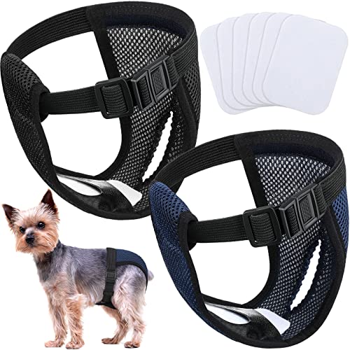 2 Paquetes Pantalones Pañales para Perros con 6 Toallas Sanitarias Bragas Protectoras Lavables Braguitas Higiénicas para Perros Hembras en Celo Sangrado Mensual, Negro y Azul (S)