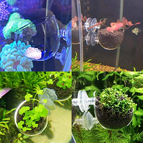 2 Pcs Maceta de Vidrio para Plantas de Acuario, Soporte para Plantas de Acuario Pecera con Ventosa, Titular de Planta Acuática Copas de Cristal para Suministros Acuario del Paisaje Mascotas