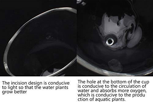 2 Pcs Maceta de Vidrio para Plantas de Acuario, Soporte para Plantas de Acuario Pecera con Ventosa, Titular de Planta Acuática Copas de Cristal para Suministros Acuario del Paisaje Mascotas