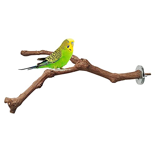 2 Piezas Perca de Pájaro, Perca de Loro Madera, Perchas Naturales para Pájaros, Madera de UVA Salvaje para Jaulas de Pájaros, Garras de Molido, Escalada, Periquitos, Cacatúas, Canarios, 2 Estilos