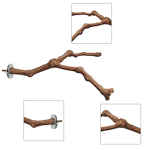 2 Piezas Perca de Pájaro, Perca de Loro Madera, Perchas Naturales para Pájaros, Madera de UVA Salvaje para Jaulas de Pájaros, Garras de Molido, Escalada, Periquitos, Cacatúas, Canarios, 2 Estilos