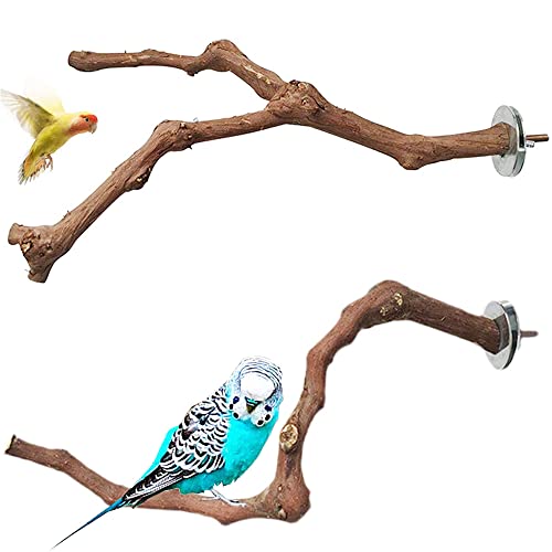 2 Piezas Perca de Pájaro, Perca de Loro Madera, Perchas Naturales para Pájaros, Madera de UVA Salvaje para Jaulas de Pájaros, Garras de Molido, Escalada, Periquitos, Cacatúas, Canarios, 2 Estilos