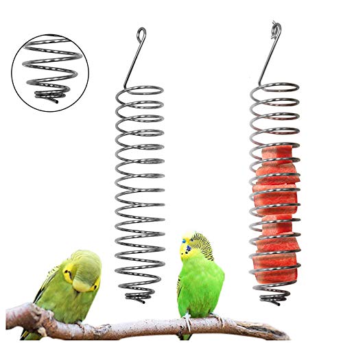 2 Piezas Pincho de Loro Brochetas de Frutas para Pájaros Acero Inoxidable Loro Fruta Vegetal Carne Alimento Complemento para Palitos Pequeño Animal Jaula de Jaula de Forraje Juguete de Forraje