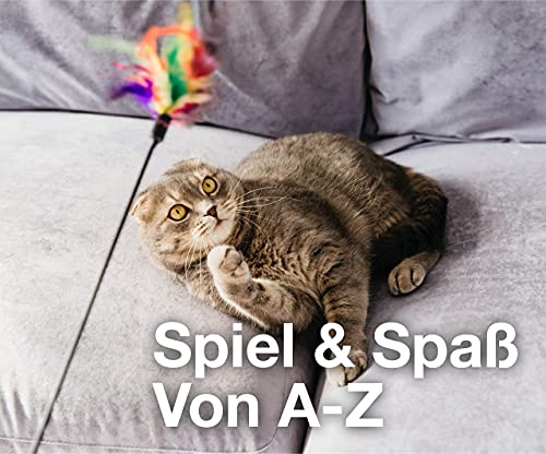 20 TLG. Juego de juguetes para gatos - juguetes para varios gatos para la ocupación y el trabajo por cuenta propia - jugar