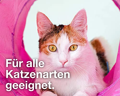 20 TLG. Juego de juguetes para gatos - juguetes para varios gatos para la ocupación y el trabajo por cuenta propia - jugar