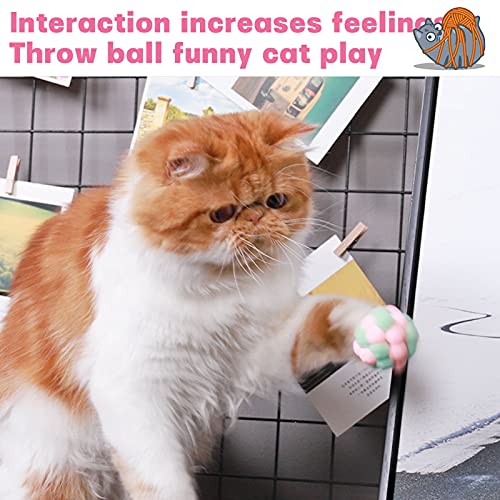 6 juguetes interactivos para gatitos, bolas de peluche de 1.7 pulgadas, juguetes de entrenamiento para gatos, gatito marrón y blanco