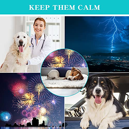Abrigo para Perros de ansiedad y frescor Transpirable para Perros, Chaqueta Ajustable para la ansiedad del Perro, para Mantener la Calma (Azul, Gris) (Azul, Medium)