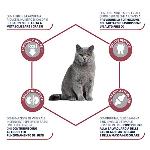 Advance Senior Sterilized- Pienso para Gatos Adultos Esterilizados Senior - 1,5 Kg x 4