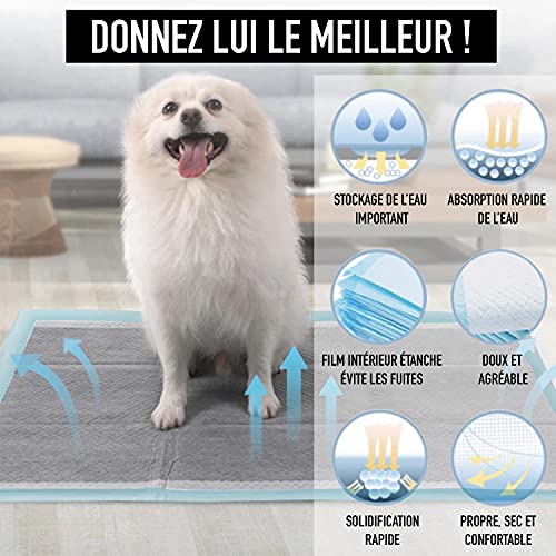 Alfombra educativa para perro, de carbón de bambú, elimina el olor, ultra absorbente y antibacteriana, 60 x 60 cm + 1 rollo de bolsas para excremento, 6 capas gruesas, ideal para la limpieza.