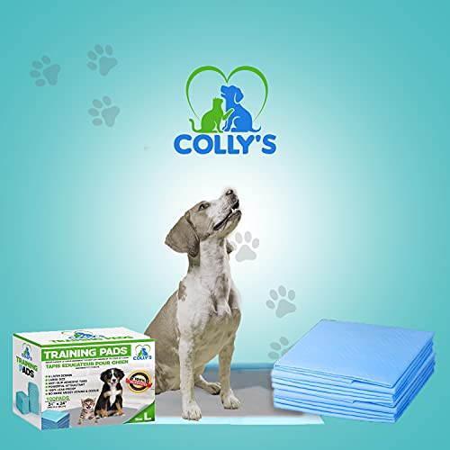 Alfombra educativa para perro, de carbón de bambú, elimina el olor, ultra absorbente y antibacteriana, 60 x 60 cm + 1 rollo de bolsas para excremento, 6 capas gruesas, ideal para la limpieza.