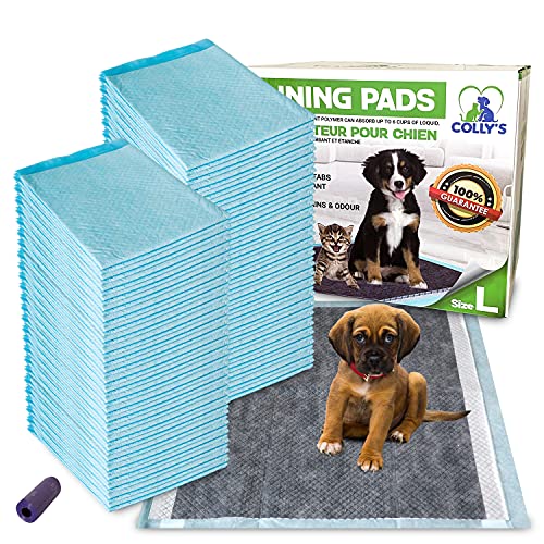 Alfombra educativa para perro, de carbón de bambú, elimina el olor, ultra absorbente y antibacteriana, 60 x 60 cm + 1 rollo de bolsas para excremento, 6 capas gruesas, ideal para la limpieza.