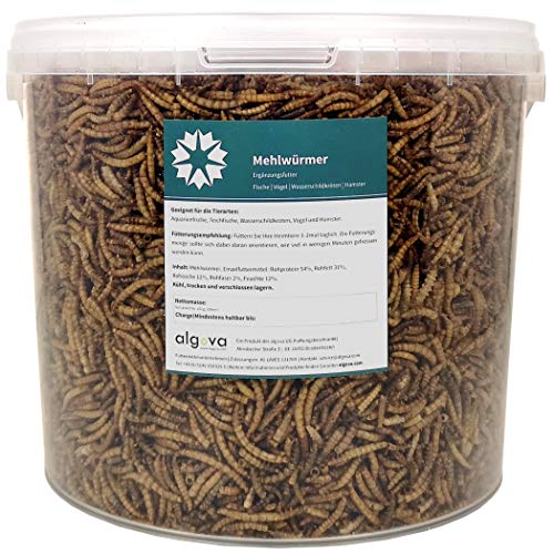 algova Mealworms Dried - Alimento Natural de Insectos para Peces Ornamentales, Aves Ornamentales, Tortugas, erizos (5L = 850g)