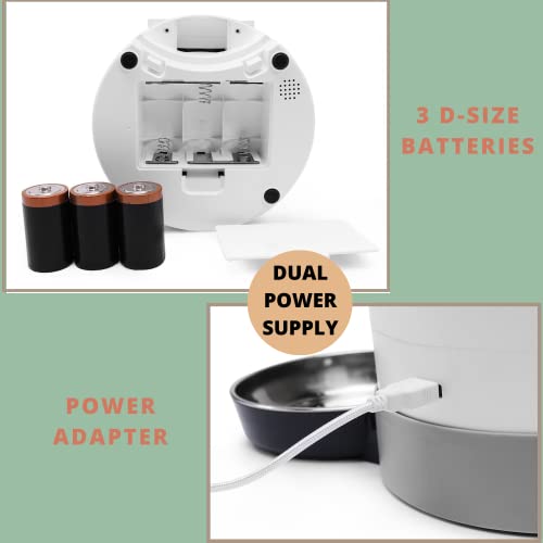Alimentador automático de acero inoxidable para mascotas, alimentador para perros, dispensador de alimentos, grabadora de voz, batería y alimentación enchufable por U.S. Solid
