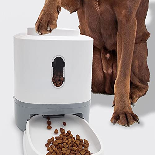 Alimentador Automático para Gatos Alimentador Automático Casero de 1.5L para Mascotas Dispensador Portátil de Alimentos para Perros Alimentador Disparador para Gatos Y Perros