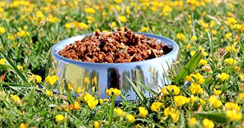 Alimento Natural casero para Perros, húmedo con Carne Fresca y Verduras Frescas - 90% Carne Knatur (12x600gr) (Mix (Pollo) - (Cordero, Pollo))