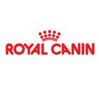 Alimento seco, equilibrado y completo para gatos siameses adultos. De Royal Canin, 10 kg