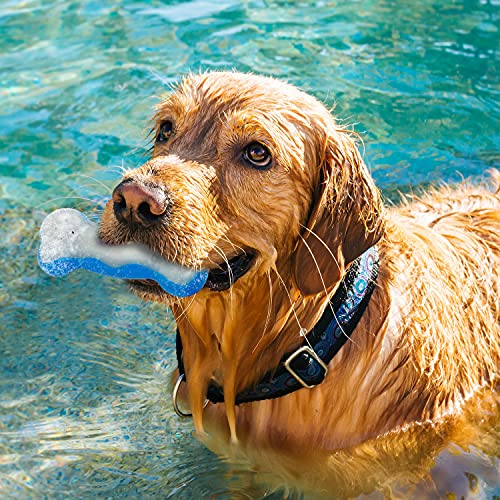 ALL FOR PAWS Juguete Congelable En Forma de Hueso Chill out, L, 16 cm
