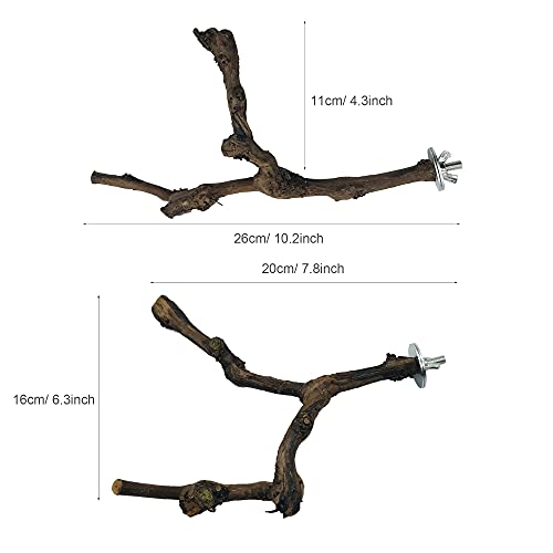Allazone 4 Pz Perca de Pájaro, Pájaro de Madera Soporte de Perca, Palo de Uva Salvaje Natural, Juguetes para Pajaros Juguetes para Masticar Loros para Masticar Loros, Periquitos, Cacatúas