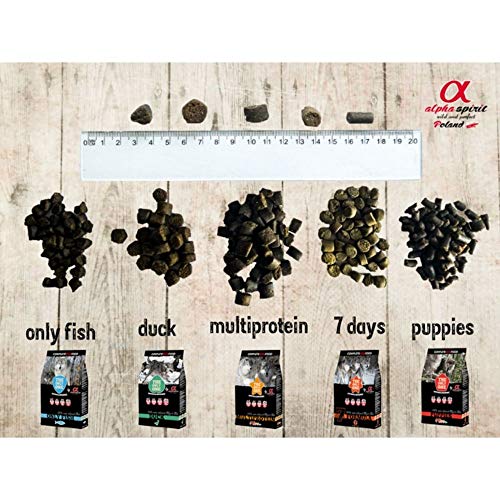 Alpha 8436586310165 Spirit Canine Puppy SEMIHUMEDO 1,5KG, Negro, Mediano