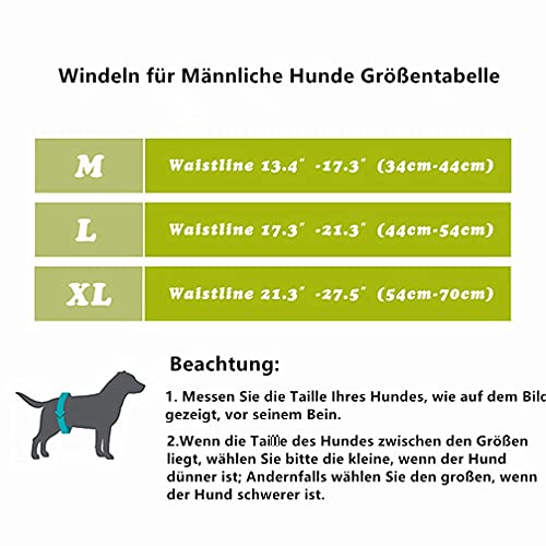 Amaliy Pañales lavables para perros (3 unidades) – cómodos pañales reutilizables para perros, cachorros y gatos (cintura: 34 – 44 cm).
