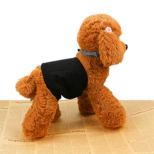 Amaliy Pañales lavables para perros (3 unidades) – cómodos pañales reutilizables para perros, cachorros y gatos (cintura: 34 – 44 cm).