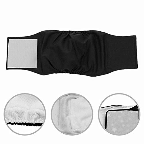 Amaliy Pañales lavables para perros (3 unidades) – cómodos pañales reutilizables para perros, cachorros y gatos (cintura: 34 – 44 cm).