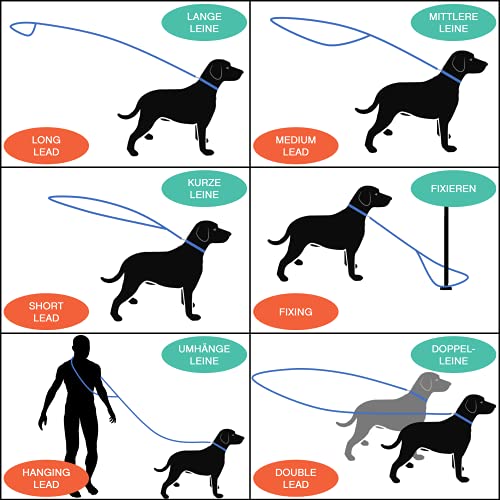 Amazon Brand - Umi - Correa de Perro 2m, Ajustable en 3 Posiciones, Air Mesh, para Perros pequeños y Grandes, Cachorros y Gatos, en Muchos Colores y Tallas Distintos, Negro, XS