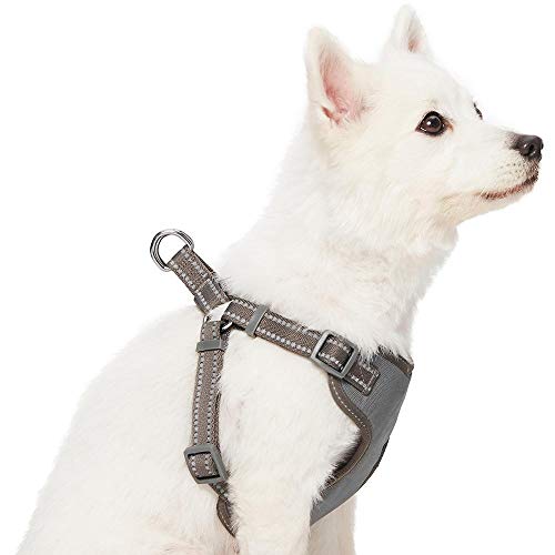 Amazon Brand - Umi Pastel - Arnés Tipo Chaleco para Perros Reflectante M, Contorno del Pecho 56-66 cm, arneses Ajustables para Perros (Gris Topo)