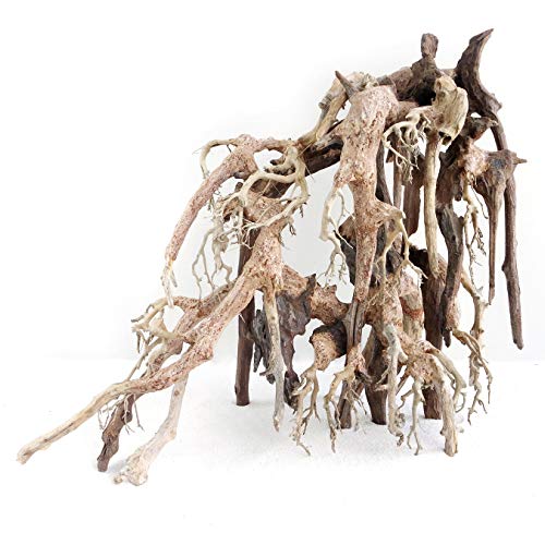 Amtra Madera Oriental Wind 1 SM 1 Unidad 300 g