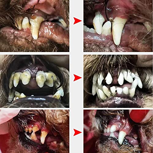 Anazoo Cepillo de Dientes eléctrico para Mascotas | Herramienta de Limpieza de Dientes para Perros y Gatos para el Cuidado Dental | para clínica domiciliaria y Peluquero de Mascotas