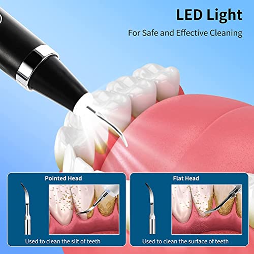 Anazoo Limpiador de Dientes eléctrico, pulidor Dental de Animales, Herramienta de blanqueamiento de Dientes de Perro Gato, Cuidado Dental para clínica doméstica y Peluquero de Mascotas (Negro)