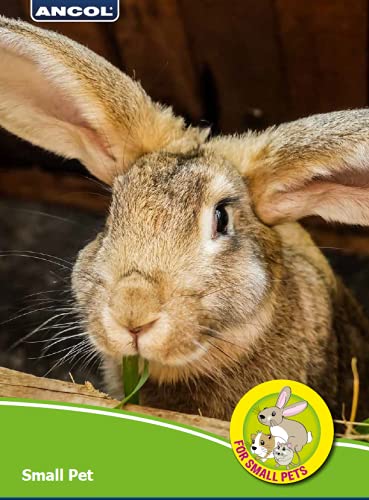 Ancol Just 4 Pets - Bola de Juguete para almacenar alimento