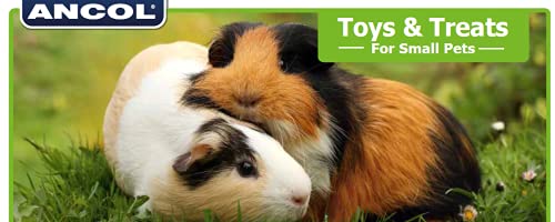 Ancol Just 4 Pets - Bola de Juguete para almacenar alimento