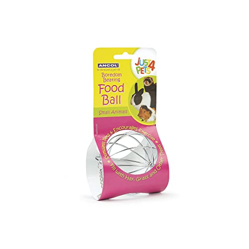 Ancol Just 4 Pets - Bola de Juguete para almacenar alimento