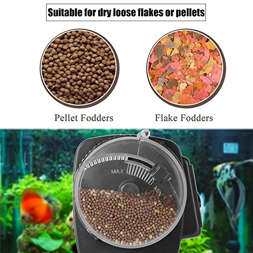 Andoer Alimentador automático de pescado con pantalla LCD para peces de acuario