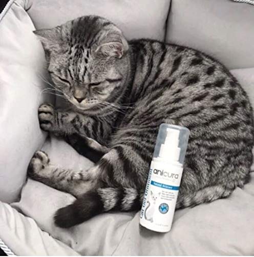 Anicura Cat Gel Ointment 75 ml / 2.5 oz