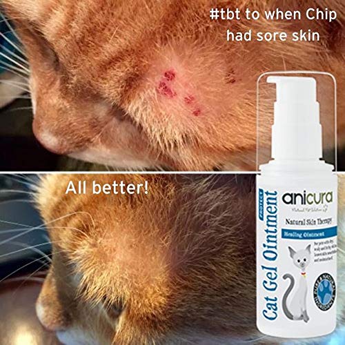 Anicura Cat Gel Ointment 75 ml / 2.5 oz