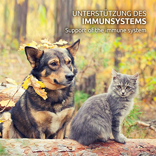 AniForte Cápsulas de Aceite de salmón para Perros y Gatos 500 – Son un valioso Aceite de Pescado Omega-3 para el metabolismo y la formación de Huesos, suplemento de Barf, vitaminas
