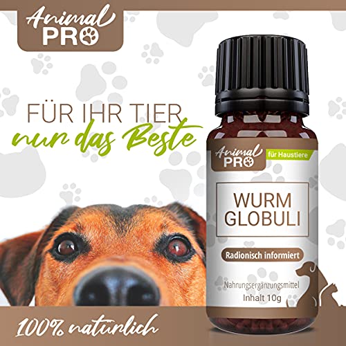 Animal Pro - Variación de gusanos., Globuli,