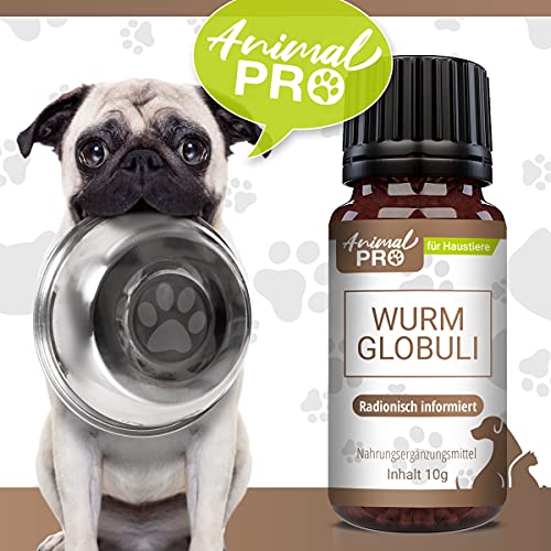 Animal Pro - Variación de gusanos., Globuli,