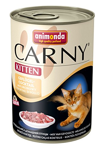 Animonda Carny - Recipiente de Lata, diseño de Gato