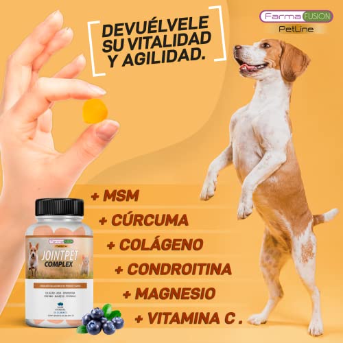Antiinflamatorio para Perros y Gatos | Combate el Dolor y la inflamación en tu Mascota | Colágeno + MSM + cúrcuma + condroitina y magnesio para recuperar su Movilidad | 50 Unidades sin azúcar