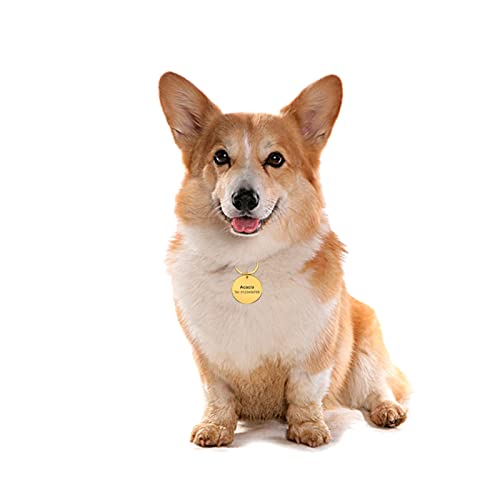 Antipérdida Nombre del perro Número de teléfono Personalizado Llamar a mi mamá Etiqueta de identificación de mascota Nombre de identificación de mascota grabado para gato Cachorro Collar de per