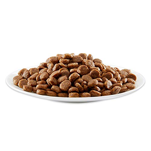Applaws 4004C Comida Mascotas, 400g (1 Pack), 400
