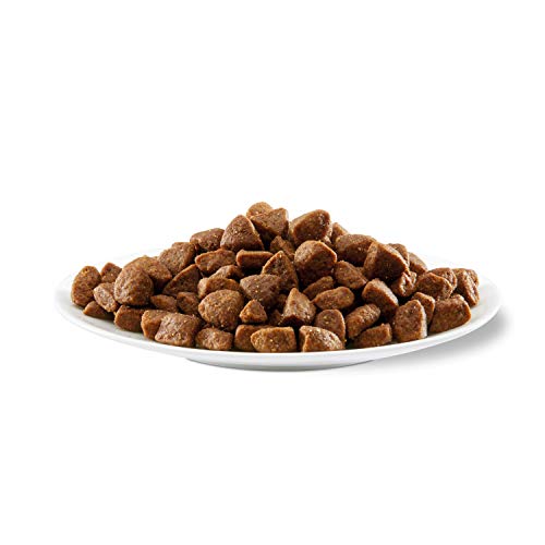 Applaws Comida Seca para Perros Puppy pequeña/Medium Breed gallina, Paquete de 1 Unidad (1 x 7,5 kg)